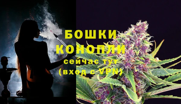 ALPHA PVP Богданович