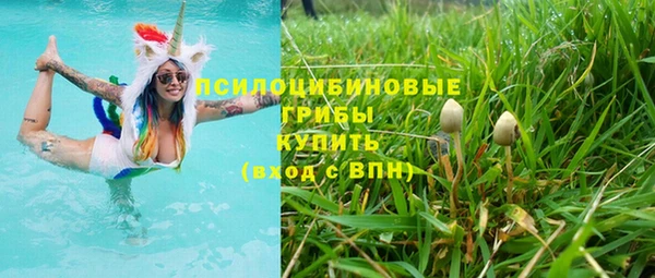 a pvp Богородицк