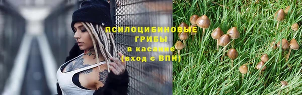 соль курить ск Богородск