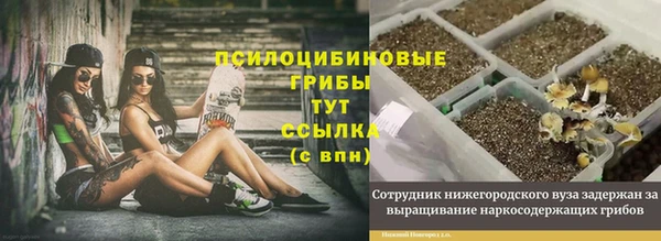 соль курить ск Богородск