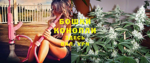 Альфа ПВП Белокуриха
